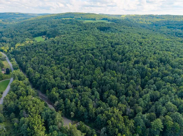 County Route 46 Lot 29, Dansville, NY 14437