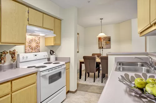 Open kitchen with dishwasher, double sinks, and plenty of cabinet storage and counter space - Allegro
