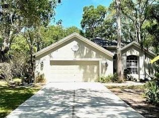 4441 Hidden Shadow Dr, Tampa, FL 33614