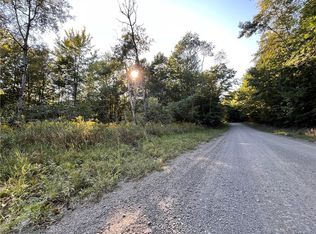 LOT 4 Porter Hill Rd E LOT 4, Lockwood, NY 14859