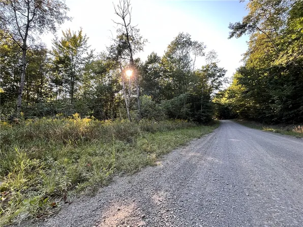 LOT 4 Porter Hill Rd E Lot 4, Lockwood, NY 14859