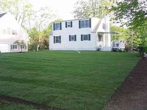 Back yard picture-new sod