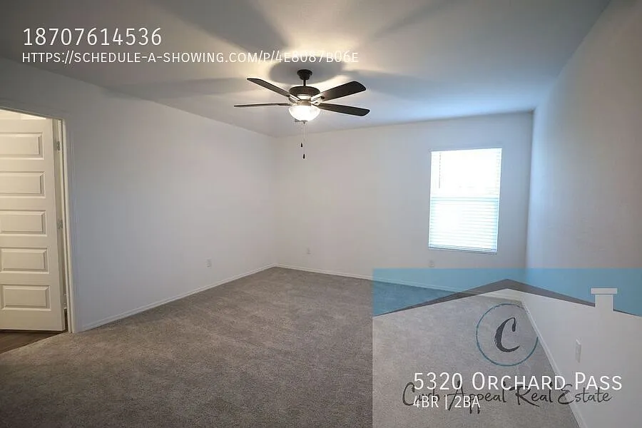 New construction in Jonesboro - beautiful 4 bed / 2 bath home - Valley View!! — Photo 4