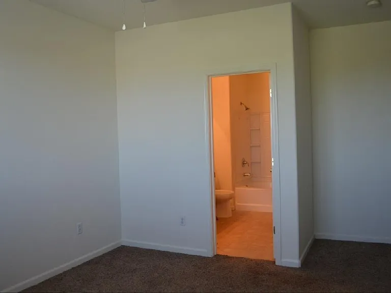 1360 Shady Ln #YYY — Photo 9