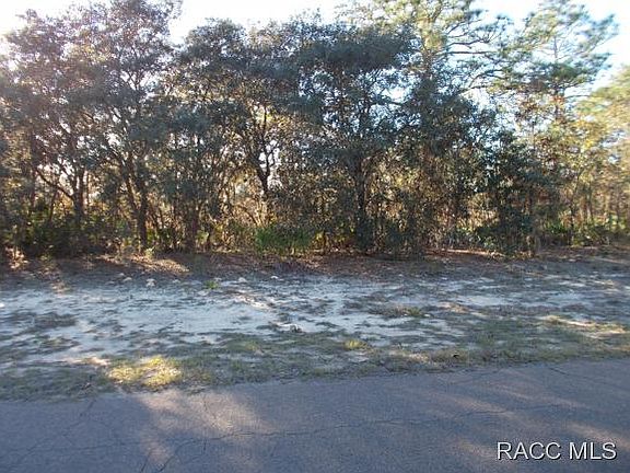 5th image of 2926 N Stirrup Dr