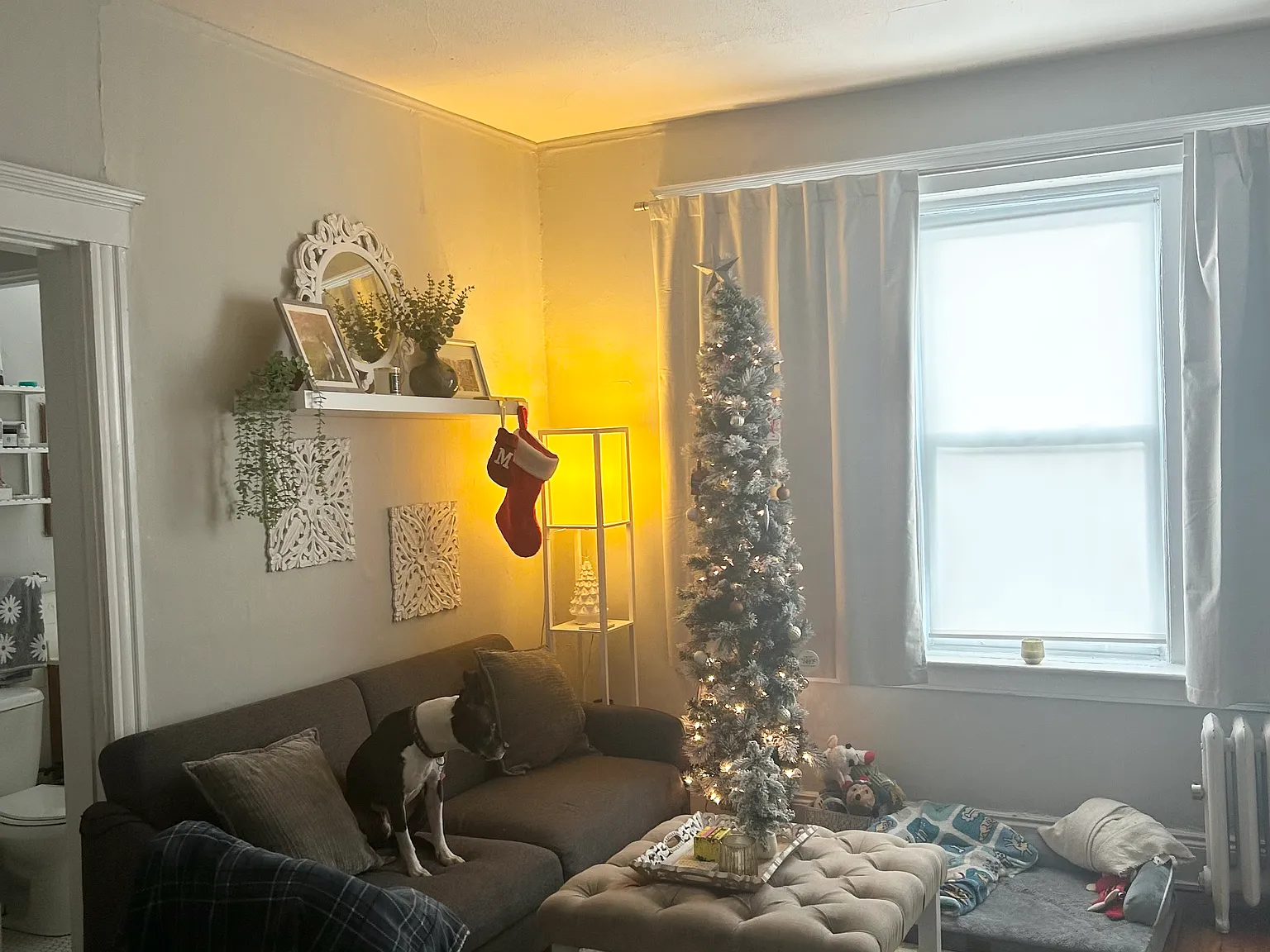 Studio, 375 sqft, $2,050 — Photo 3
