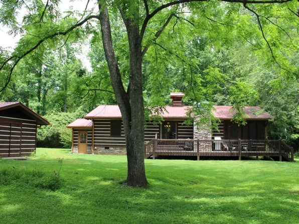 203 Mountain Rivers Rd, Mineral Bluff, GA 30559