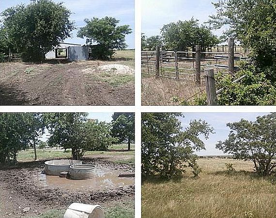 1st image of 899 Hill County Road 4307