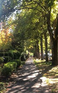 2137 7th Ave W, Seattle, WA, 98119