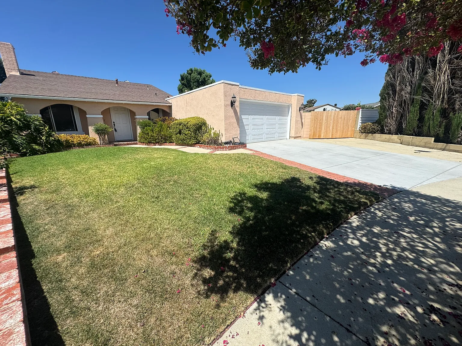 3 bed, 1310 sqft, $3,800 — Photo 1