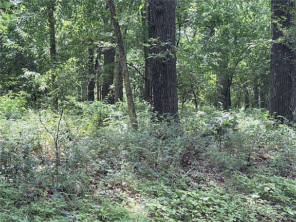 3rd image of N State Line Rd