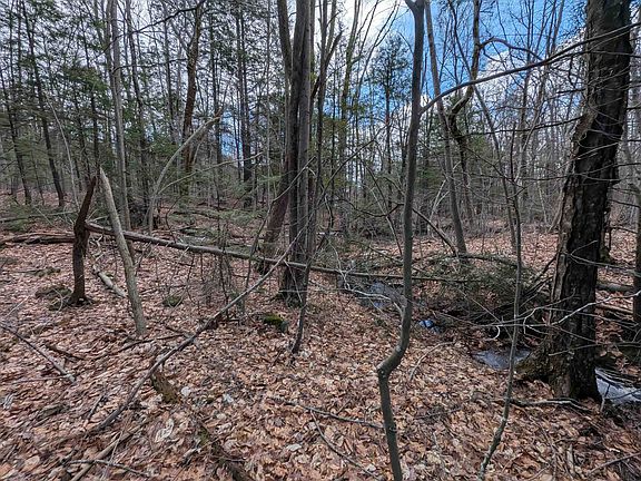 5th image of Map 41 Lot 21 Jewett Road