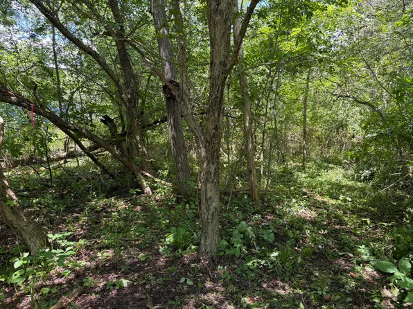 Route 949, Ridgway, PA 15853