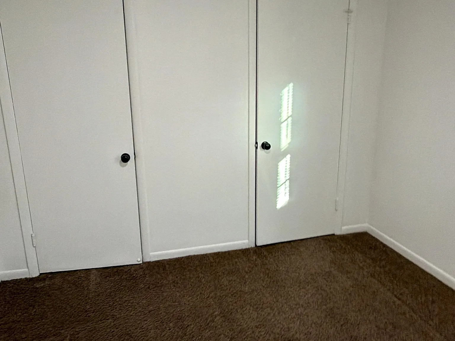2 bed, $1,150 — Photo 4