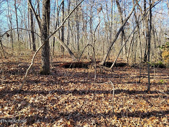 5th image of 11 Rhonda Rd