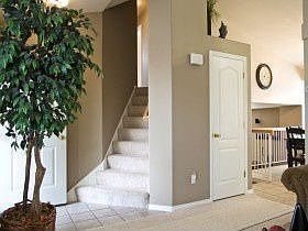 3rd image of 1247 W Glencoe Dr