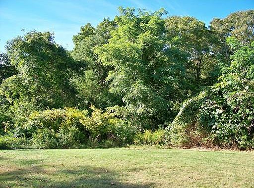 1st image of 5 Angelica Ave