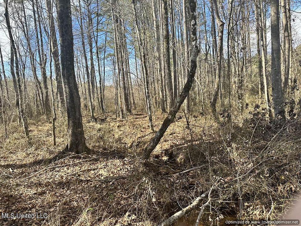 1st image of County Road 5041