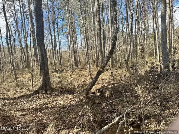 County Road 5041, Kosciusko, MS 39090