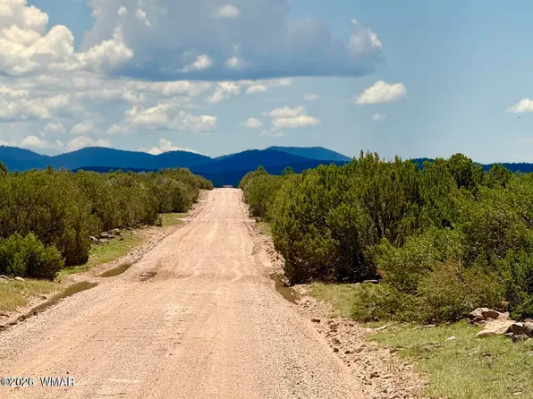 129 County Road 8051, Concho, AZ 85924