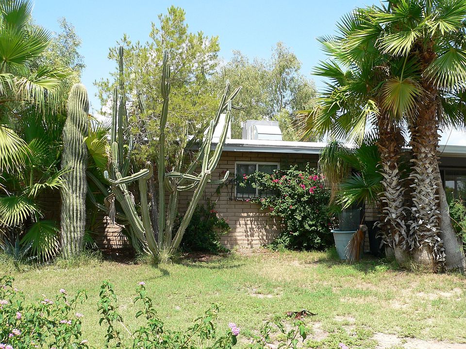 Front (South End)