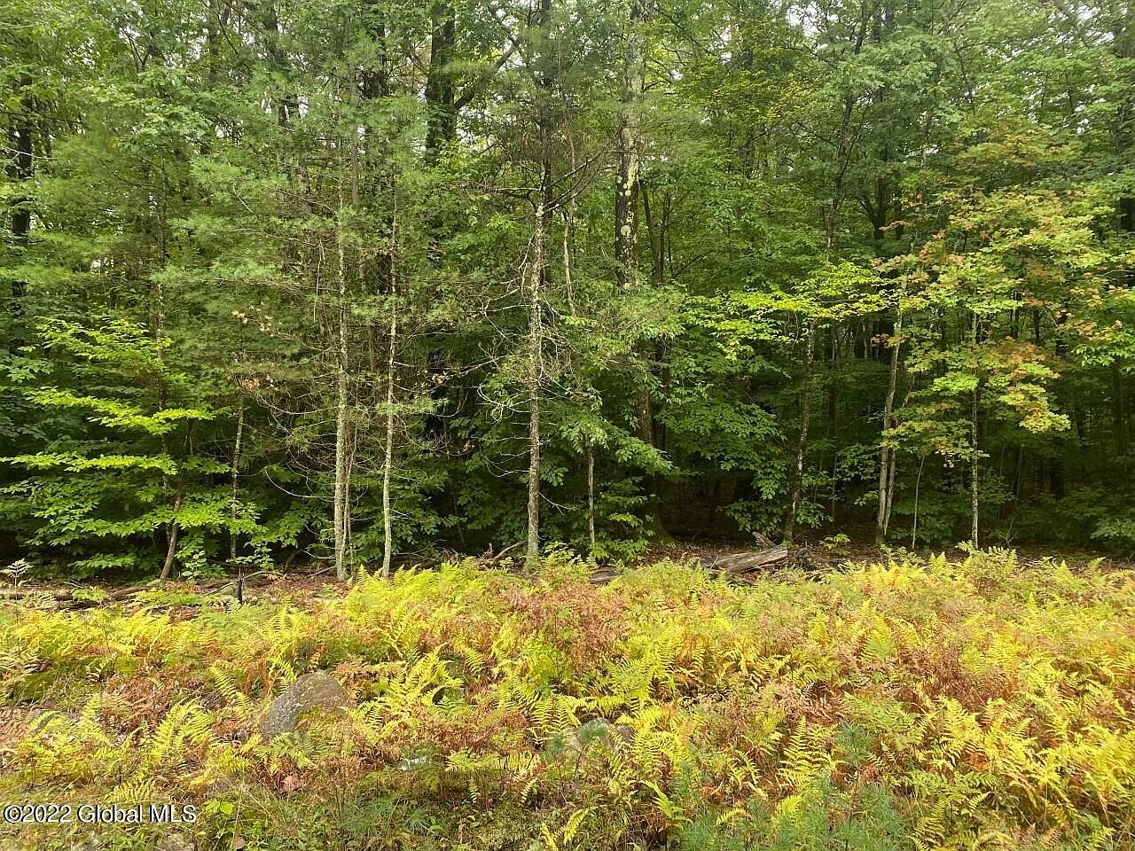 L21.010 Babcock Lake Road, Petersburg, NY 12138 MLS 202230033 Zillow