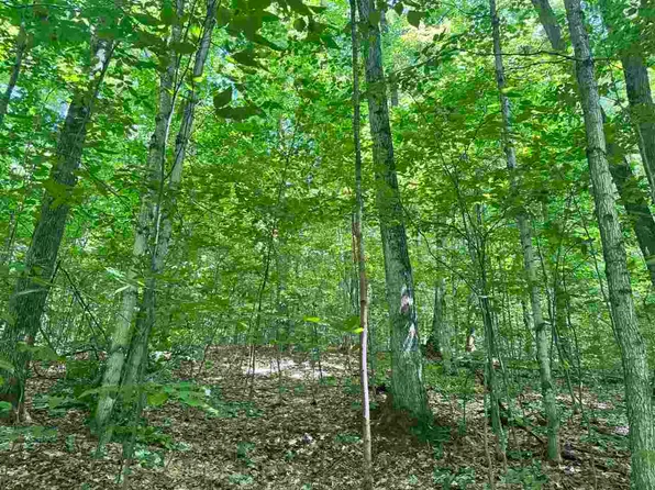 Stark Rd Parcel 5, Mancelona, MI 49659