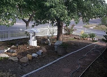 View of front yard