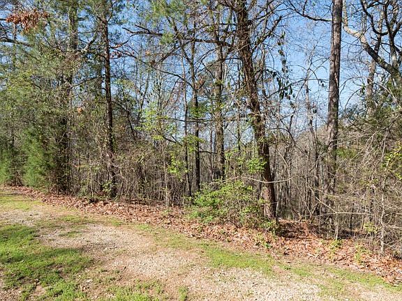 3rd image of 6905 River Run Dr