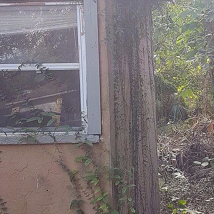 4th image of 3627 E Comanche Ave
