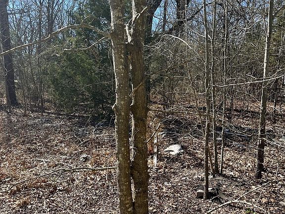 5th image of 0 County Road 3605