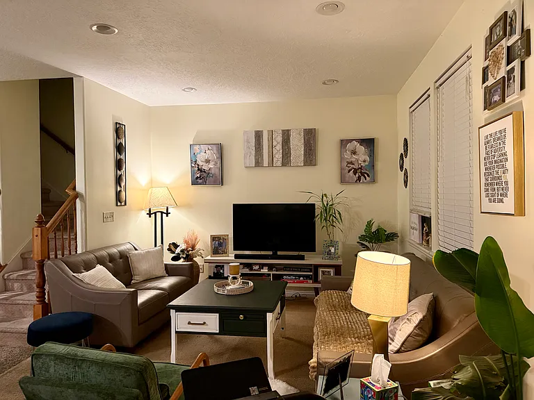 S Maple Farms Ln — Photo 6