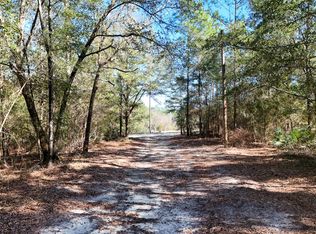 317 Beasley Dr, Defuniak Springs, FL 32433