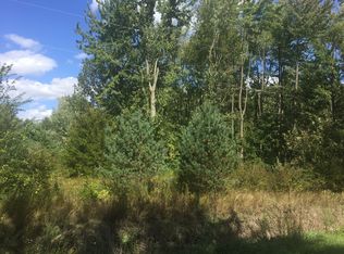 21494 W Burt Rd, Brant, MI 48614