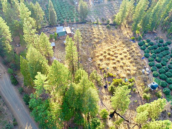 3rd image of 831 Pine Forest Dr