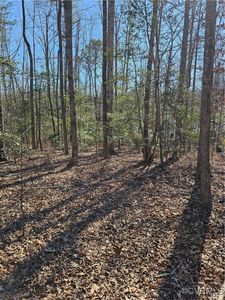 9021 Hickory Rd, South Chesterfield, VA, 23803