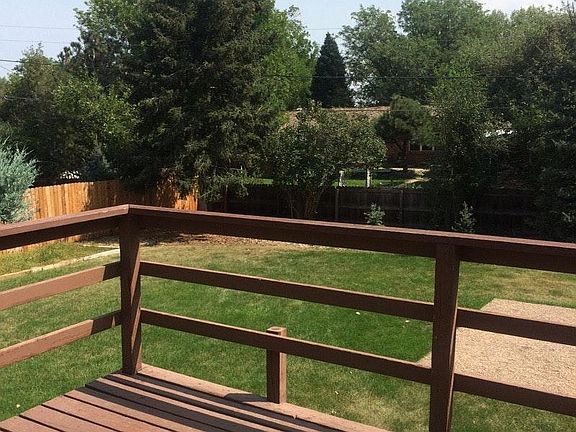 Back yard