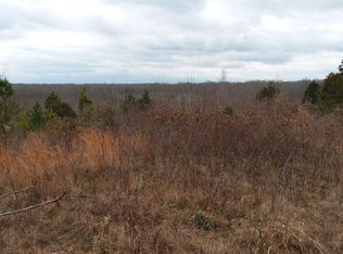 1400 McKee Levee Rd, Buena Vista, TN 38318