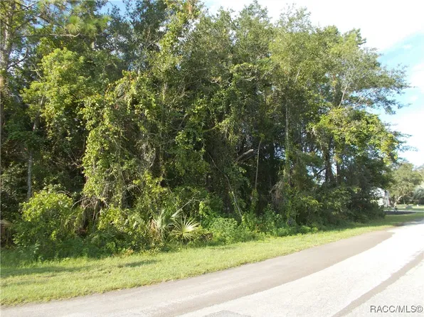 1 Sycamore Ct W, Homosassa, FL 34446