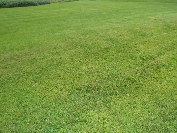 Lots 22 & 23 Madison St, Elizabeth, IL 61028