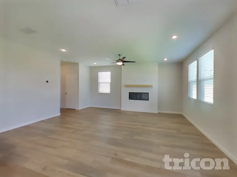 56 Brazil Nut Cir — Photo 4