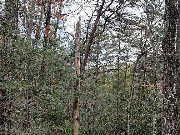 3rd image of 89 Geneva Ln Lot 89
