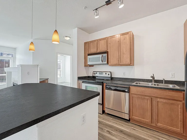 10176 Park Meadows Dr #2217 — Photo 18