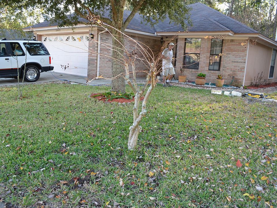 1st image of 5462 Blue Pacific Dr