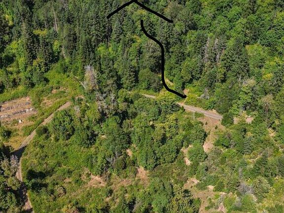5th image of 433 Old Stage Rd