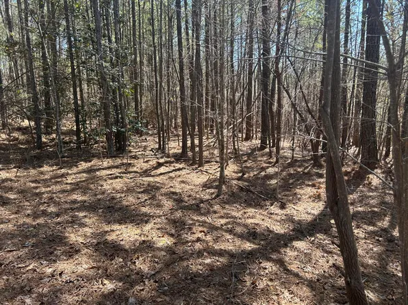 77 Shoreside At Sipsey, Double Springs, AL 35553