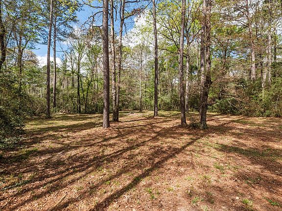 5th image of 12062 Ike White Rd