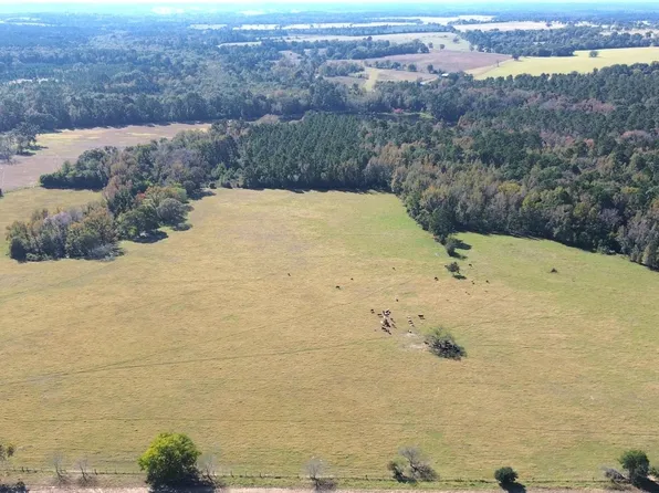 485 Private Road 6142, Grapeland, TX 75844