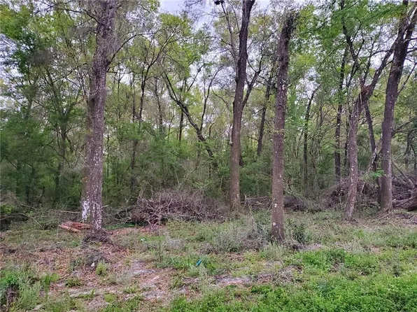 0 NE 7th Pl #6, Williston, FL 32696