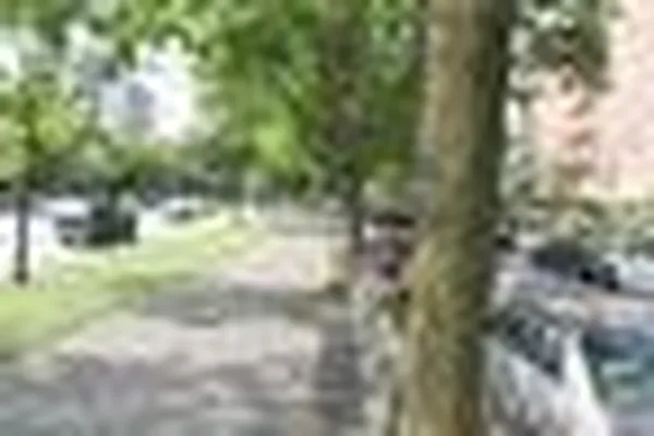 Rented by Morgan Rose Realty LLC | media 2